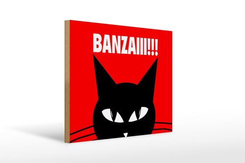 Holzschild Spruch 40x30cm Katze Banzaiii!!!