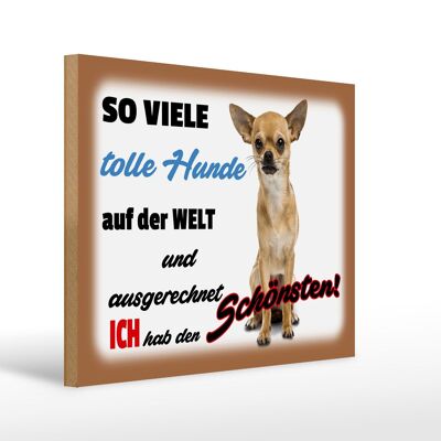 Holzschild Spruch 40x30cm ich hab den schönsten Hund