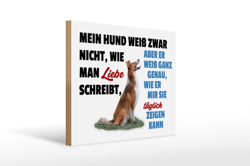 Holzschild Spruch 40x30cm mein Hund weiß zwar Hundeliebe