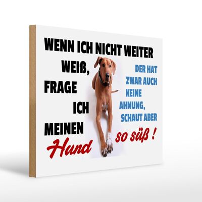 Holzschild Spruch 40x30cm wenn ich nicht weiter weiß Hund