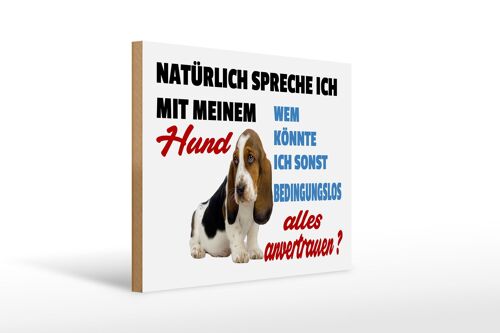 Holzschild Spruch 40x30cm natürlich spreche ich mit Hund