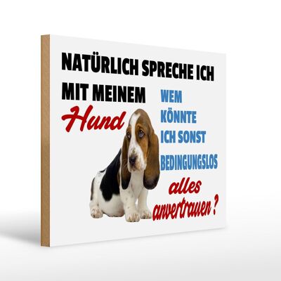 Holzschild Spruch 40x30cm natürlich spreche ich mit Hund