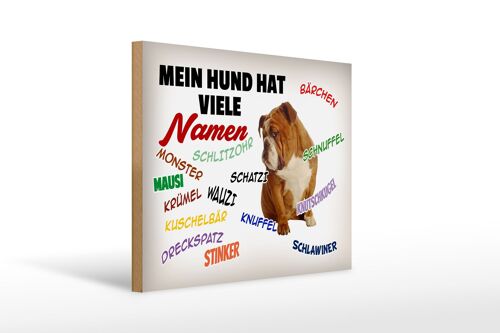 Holzschild Spruch 40x30cm mein Hund hat viele Namen