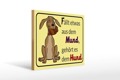 Holzschild Spruch 40x30cm fällt aus Mund gehört dem Hund