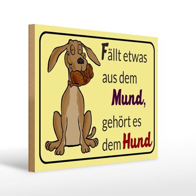 Holzschild Spruch 40x30cm fällt aus Mund gehört dem Hund