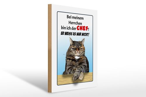 Holzschild Spruch 30x40cm Katze bei meinem Herrchen Chef