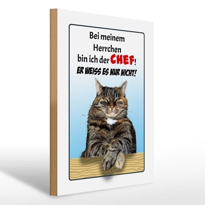 Holzschild Spruch 30x40cm Katze bei meinem Herrchen Chef