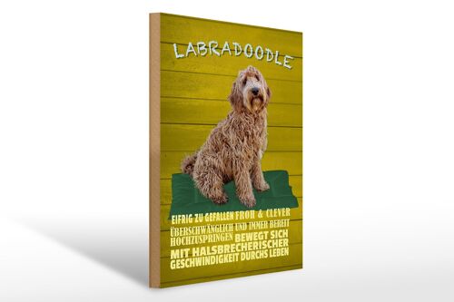 Holzschild Spruch 30x40cm Labradoodle Hund froh und clever