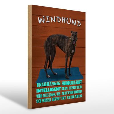 Wooden sign saying 30x40cm greyhound dog intelligent gentle