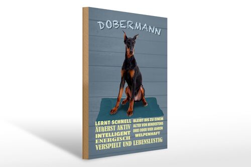 Holzschild Spruch 30x40cm Dobermann lernt schnell Hund