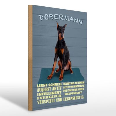 Cartello in legno con scritta 30x40 cm Doberman impara velocemente come un cane