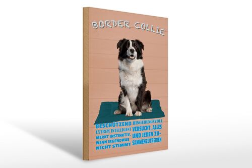 Holzschild Spruch 30x40cm Border Collie Hund intelligent