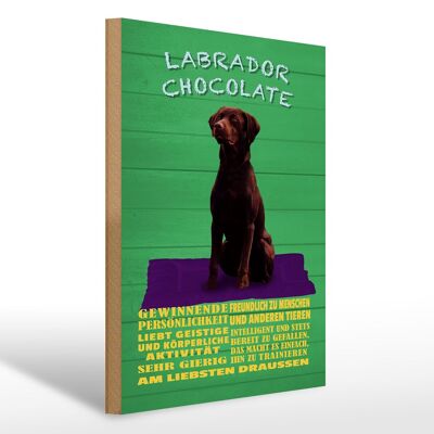 Letrero de madera que dice 30x40cm Labrador Chocolate Dog letrero verde