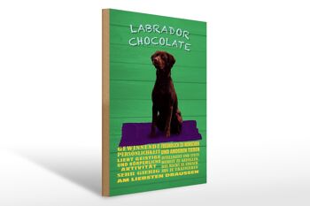Panneau en bois indiquant 30x40cm, panneau vert Labrador Chocolate Dog 1