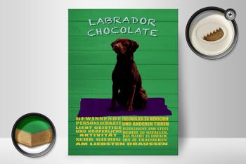 Panneau en bois indiquant 30x40cm, panneau vert Labrador Chocolate Dog 2