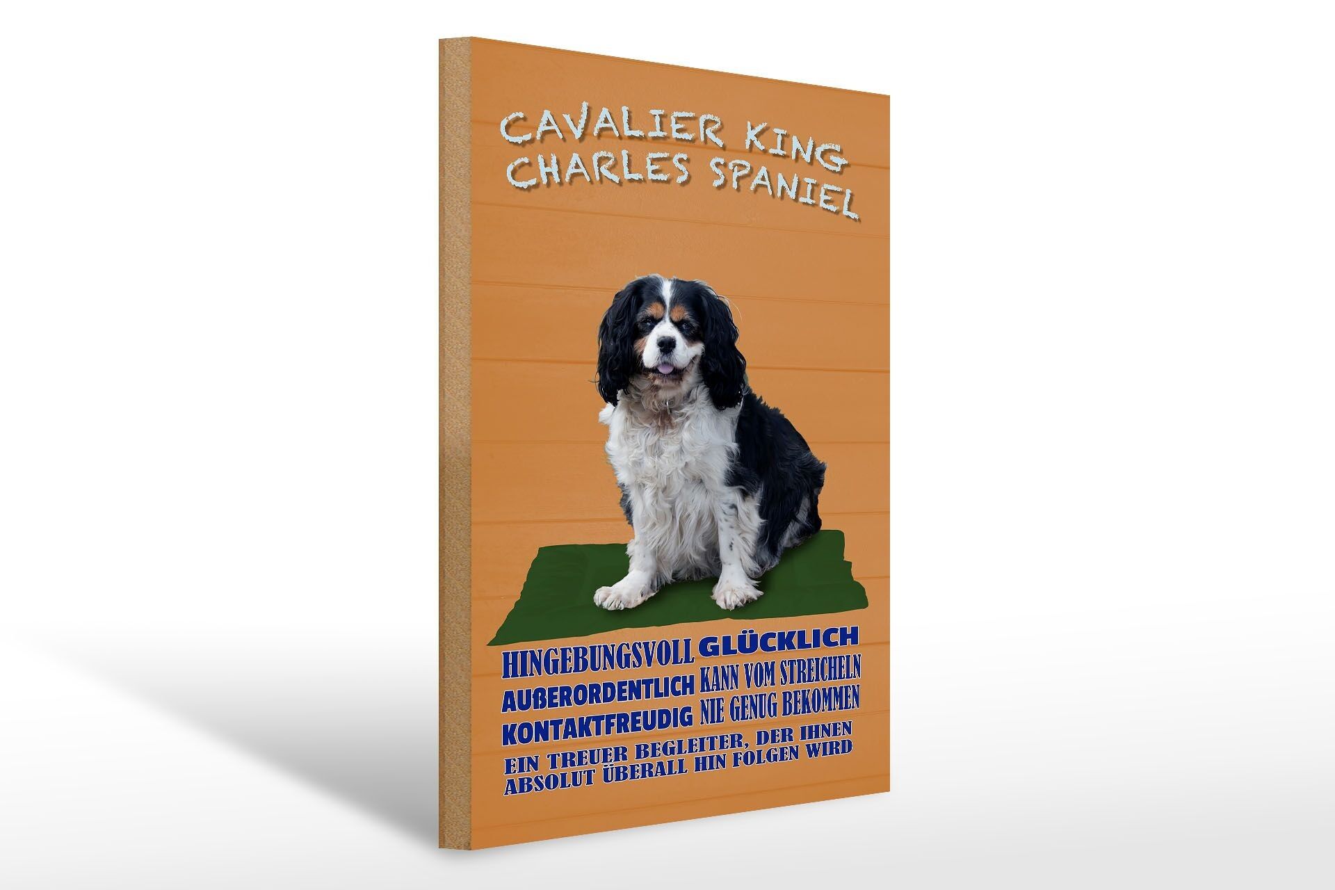 Wooden sign saying 30x40cm Cavalier King Charles Spaniel orange sign