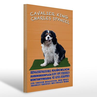 Holzschild Spruch 30x40cm Cavalier King Charles Spaniel oranges Schild