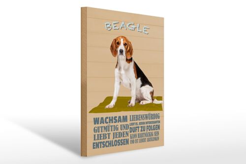 Holzschild Spruch 30x40cm Beagle Hund gutmütig liebt jeden