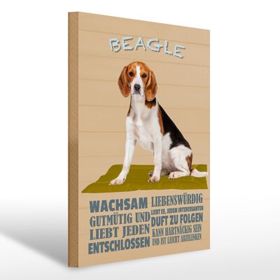 Holzschild Spruch 30x40cm Beagle Hund gutmütig liebt jeden