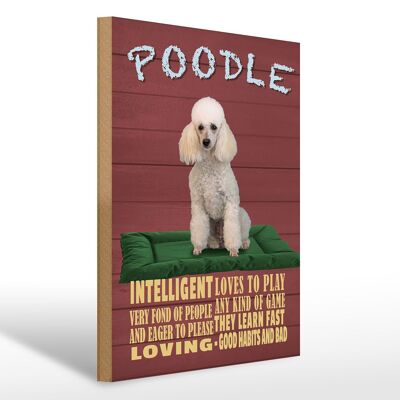 Holzschild Spruch 30x40cm Hund Poodle loves to play