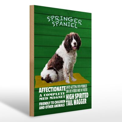 Cartello in legno con scritta 30x40 cm Springer Spaniel dog friendly