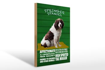 Panneau en bois indiquant 30x40cm Springer Spaniel dog friendly 1