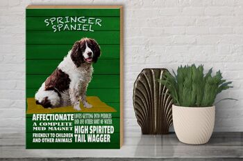 Panneau en bois indiquant 30x40cm Springer Spaniel dog friendly 3