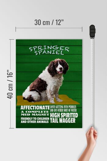 Panneau en bois indiquant 30x40cm Springer Spaniel dog friendly 4