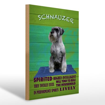 Holzschild Spruch 30x40cm Schnauzer Hund highly inelligent