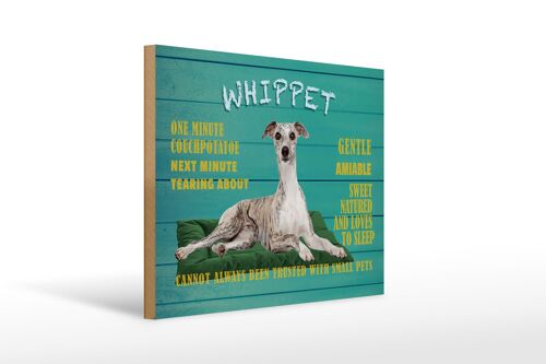 Holzschild Spruch 40x30cm Whippet Hund gentle amiable