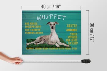 Panneau en bois disant 40x30cm Chien Whippet doux et aimable 4