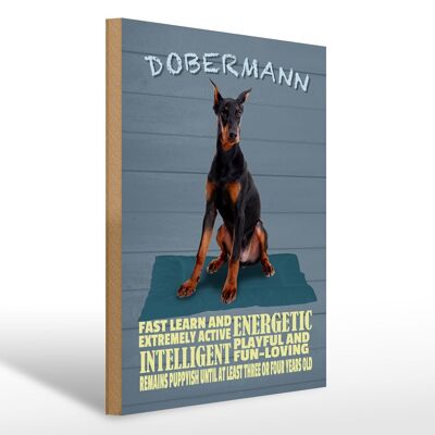 Holzschild Spruch 30x40cm Dobermann Hund fast learn and