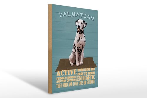 Holzschild Spruch 30x40cm Dalmatian Hund active and easy