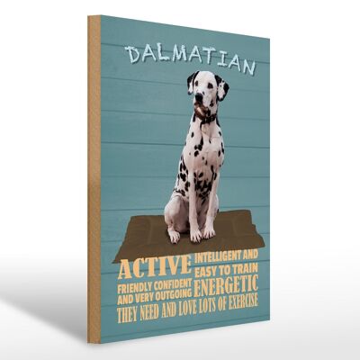 Holzschild Spruch 30x40cm Dalmatian Hund active and easy