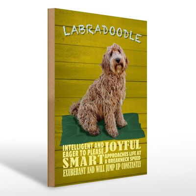 Holzschild Spruch 30x40cm Labradoodle Hund will jump up