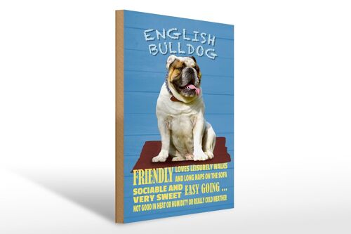 Holzschild Spruch 30x40cm English Bulldog Hund friendly