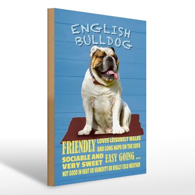 Holzschild Spruch 30x40cm English Bulldog Hund friendly