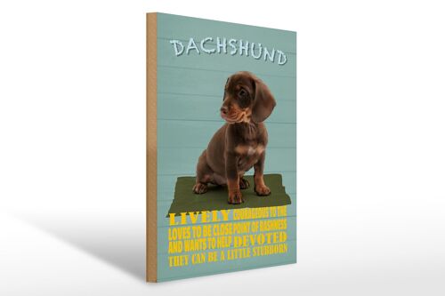 Holzschild Spruch 30x40cm Dachshund Hund lively devoted