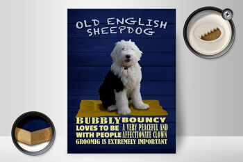 Panneau en bois disant 30x40cm Old English Sheepdog dog pétillant 2