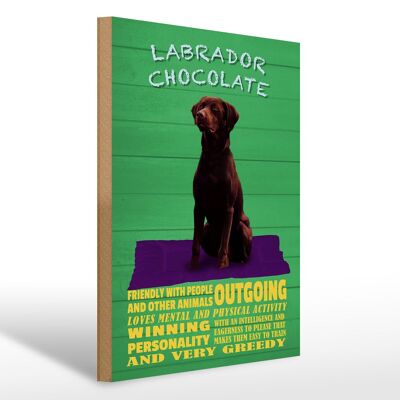 Holzschild Spruch 30x40cm Labrador Chocolate Hund