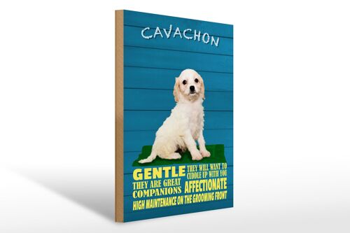Holzschild Spruch 30x40cm Cavachon Hund gentle affectionat