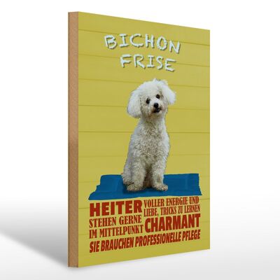 Holzschild Spruch 30x40cm Hund Bichon Frise charmant