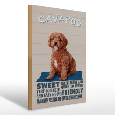 Cartello in legno con scritta 30x40 cm Cavapoo cane dolce amico