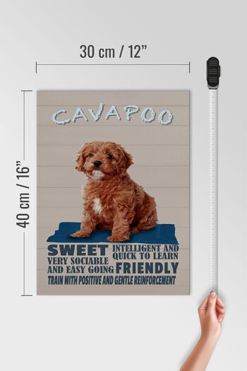 Panneau en bois disant 30x40cm Cavapoo dog sweet friendly 4