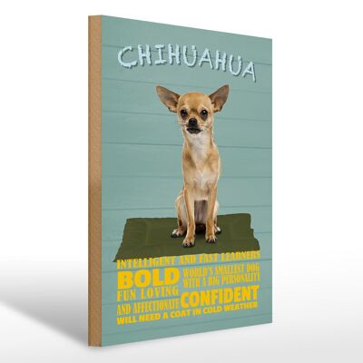 Holzschild Spruch 30x40cm Chihuahua Hund bold confident