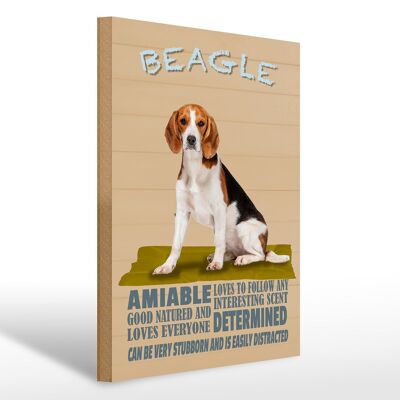 Cartello in legno con scritta 30x40 cm Il cane Beagle ama seguire chiunque