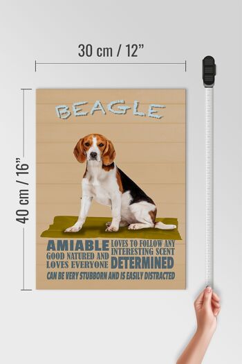 Panneau en bois disant 30x40cm Le chien Beagle aime suivre n'importe qui 4
