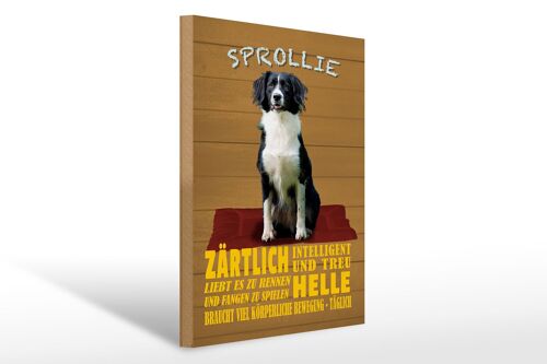 Holzschild Spruch 30x40cm Sprollie Hund zärtlich und treu