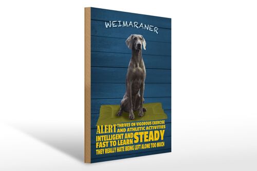 Holzschild Spruch 30x40cm Weimaraner Hund alert and steady
