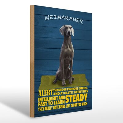 Wooden sign saying 30x40cm Weimaraner dog alert and steady